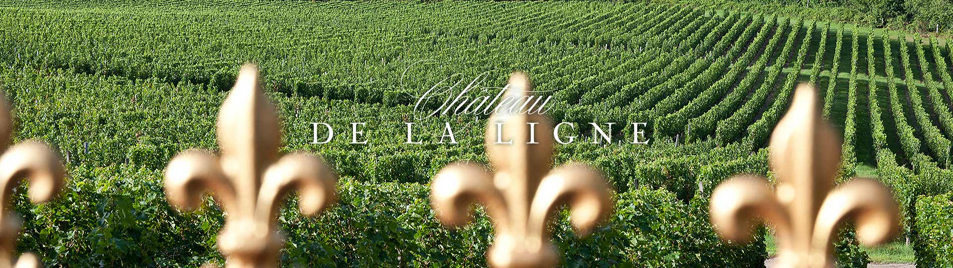 New Web Design Client: Château de La Ligne Bordeaux main image