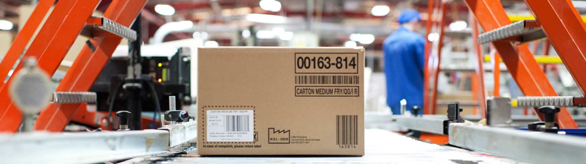 New Web Design Client: Delta Print and Packaging NI main image
