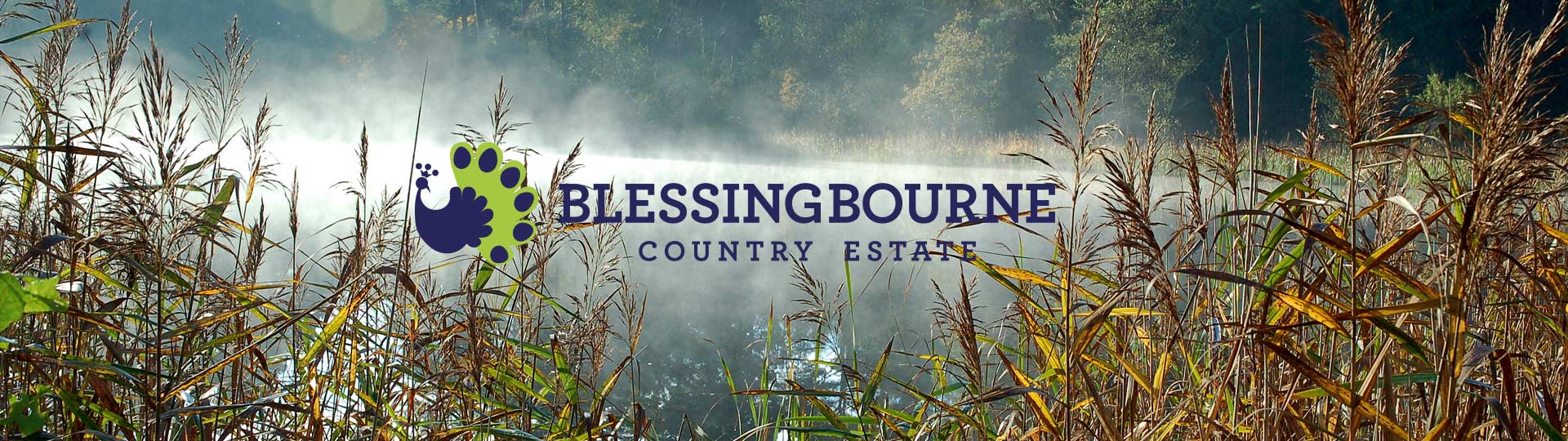 New Web Design Cient: Blessingbourne Estate Northern Ireland main image